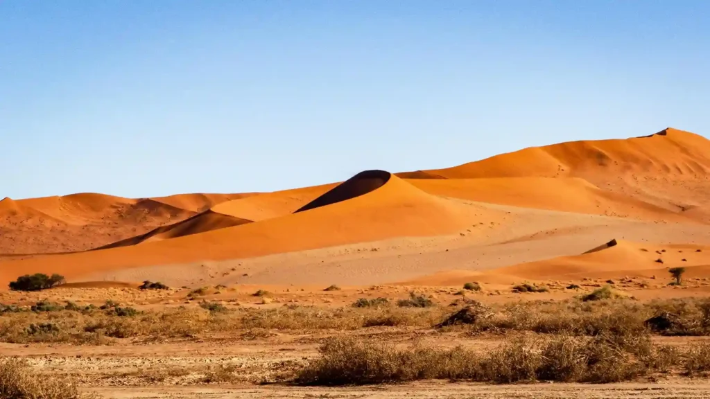 algeria largest country in africa by total area